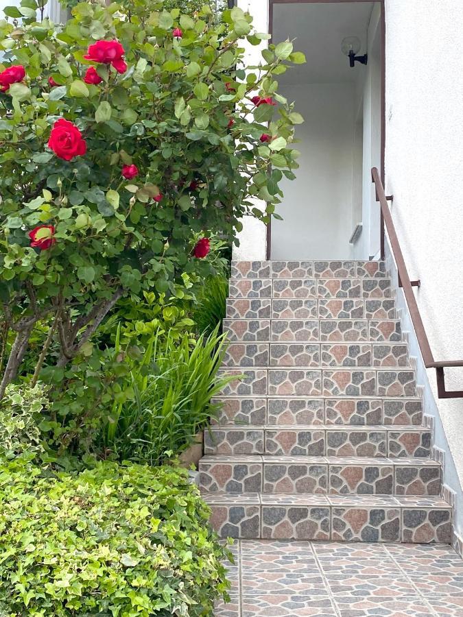 Apartment Loyd, Tolmin - Most na Soči Zewnętrze zdjęcie