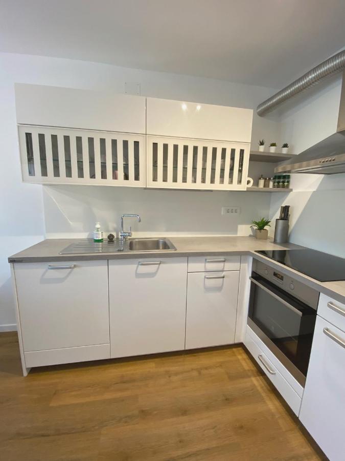Apartment Loyd, Tolmin - Most na Soči Zewnętrze zdjęcie